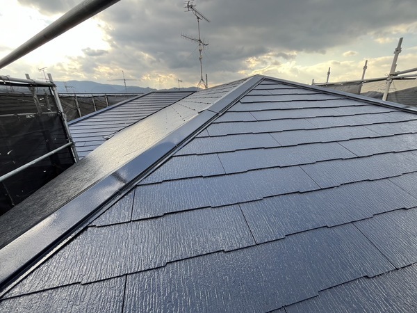 S__42958865_0_コピー