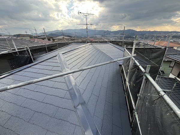 S__42958864_0_コピー