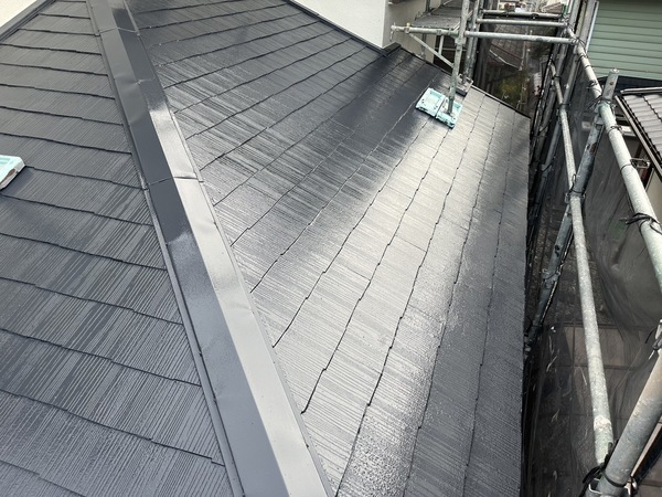 S__43032591_0_コピー