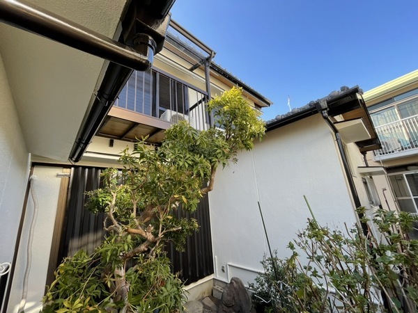 S__176504846_0_コピー