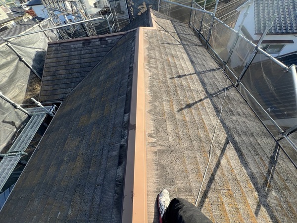 S__49102871_0_コピー