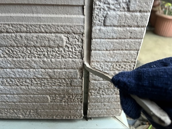 S__49111088_0_コピー