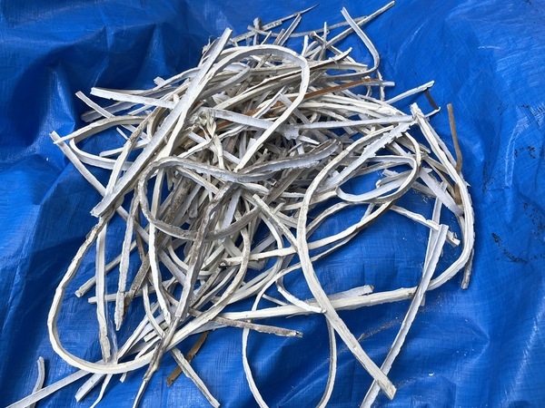 S__11886608_コピー