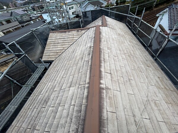 S__431988747_0_コピー