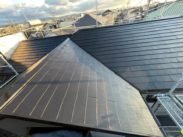 S__433299465_0_コピー