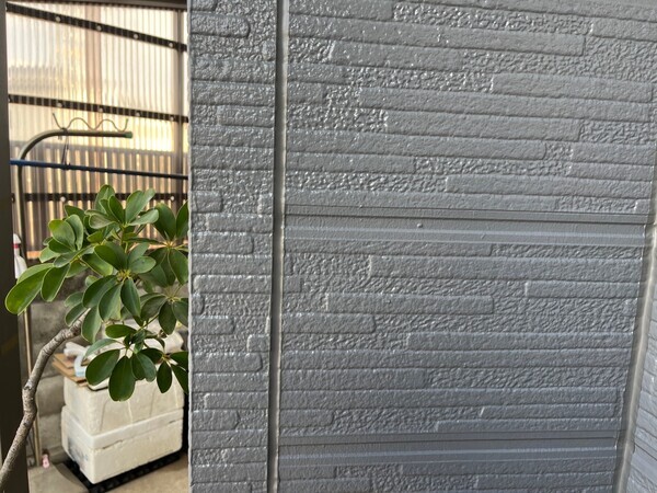 S__104783919_0_コピー