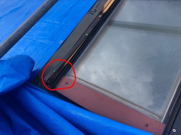 B8CE7FAE-F088-487C-8AFE-C0665063EAB2_new_コピー