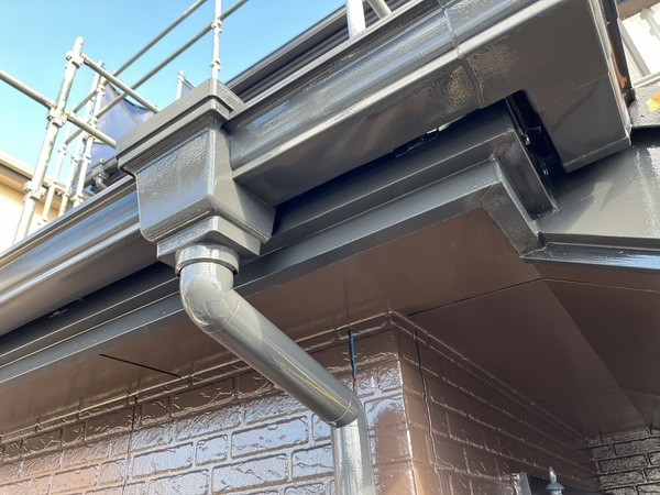 S__43540509_0_コピー