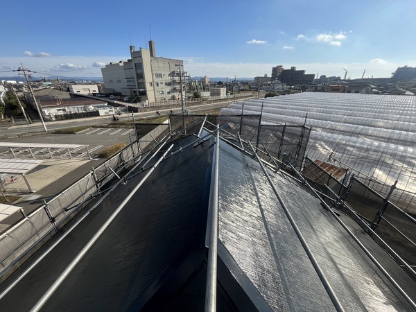 S__43515927_0_コピー