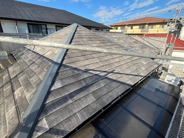 S__105259035_0_コピー