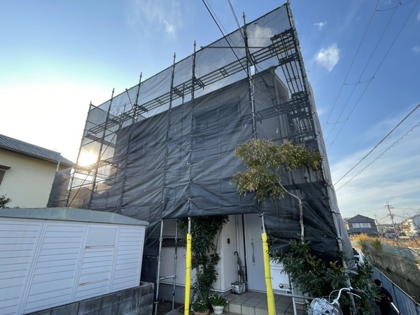 S__182763525_0_コピー