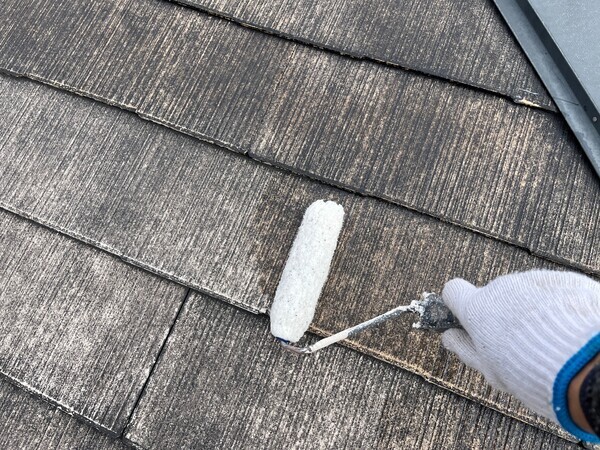 S__105357319_0_コピー