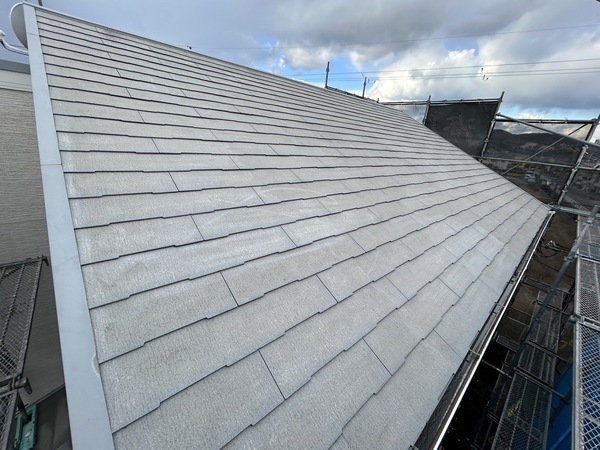 S__12992560_0_コピー