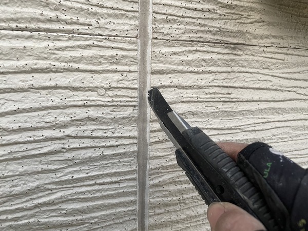 S__13025305_0_コピー