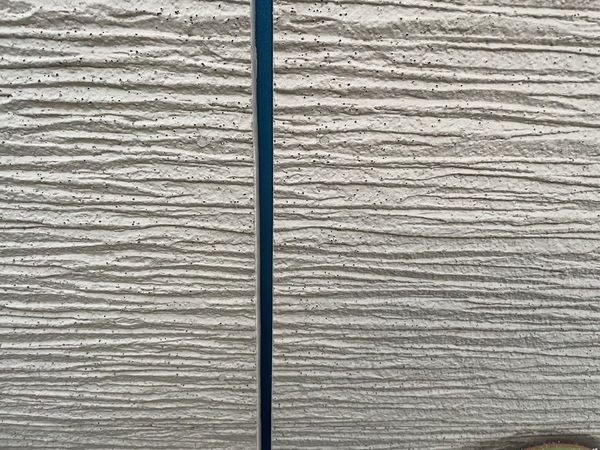 S__13025307_0_コピー