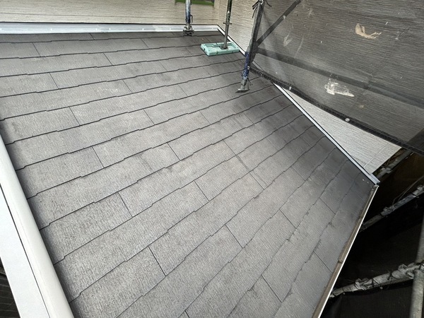 S__6348833_0_コピー