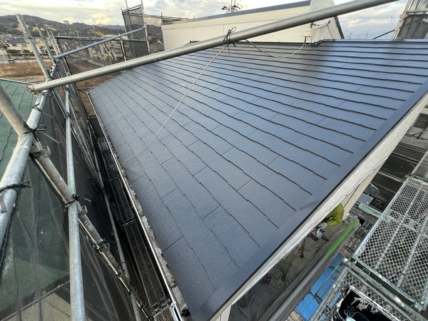 S__49545385_0_コピー