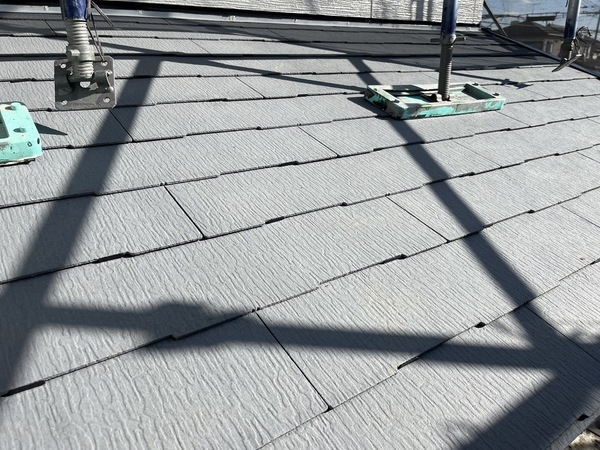 S__44564509_0_コピー