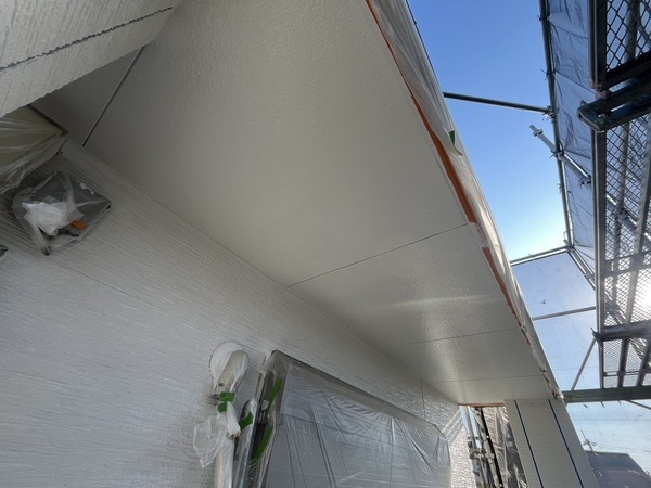 S__44564507_0_コピー