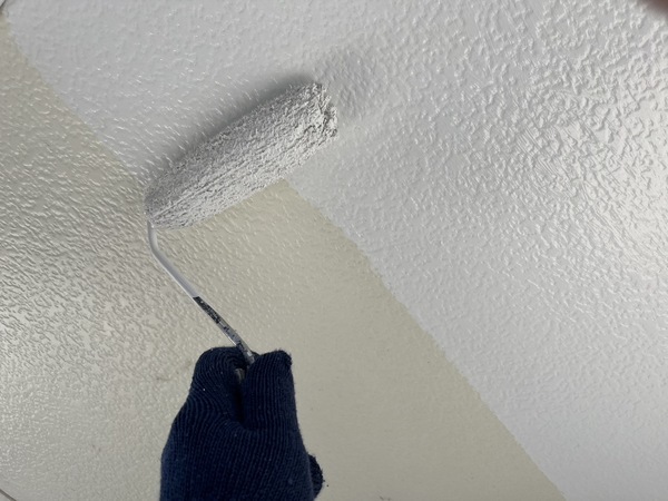 S__44564506_0_コピー