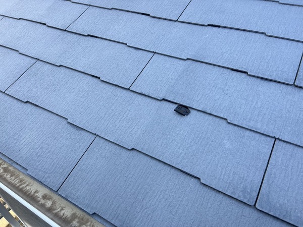 S__44564512_0_コピー