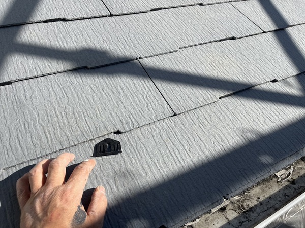 S__44564510_0_コピー