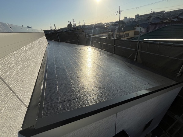 S__44564546_0_コピー