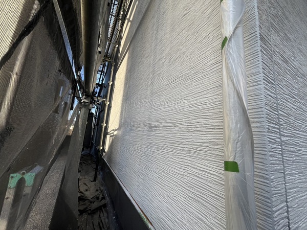 S__44580891_0_コピー