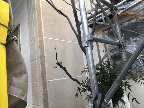 279B9F5B-0C15-4BC5-95C7-E0B2FB7C466E_コピー