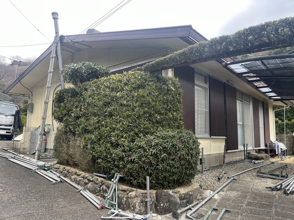 S__67739677_0_コピー