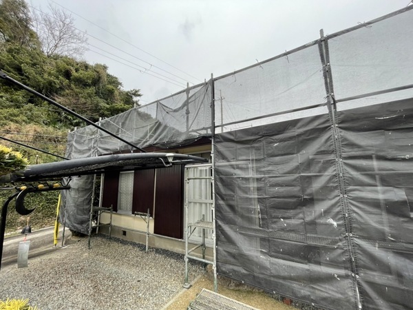 S__184860681_0_コピー