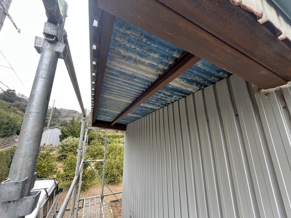 S__44679194_0_コピー