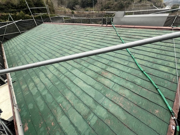 S__49586272_0_コピー