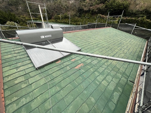 S__49586271_0_コピー