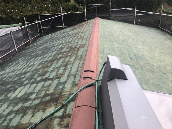 A0C03C68-9AFE-4CAD-A814-4C721388A0C9_コピー