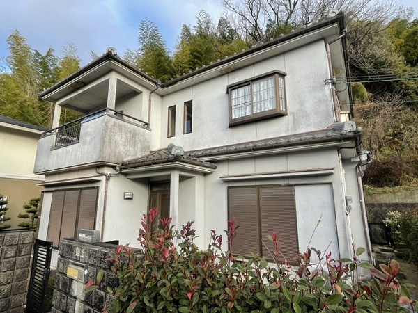 S__186007561_0_コピー