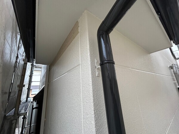 S__450445346_0_コピー