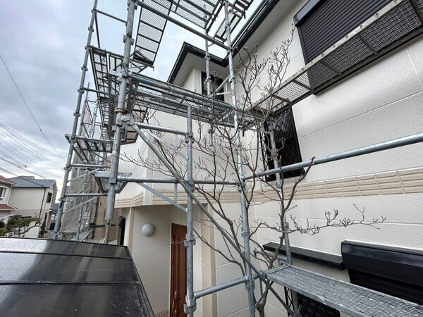 S__450445352_0_コピー