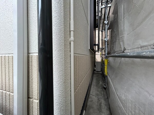 S__450445351_0_コピー