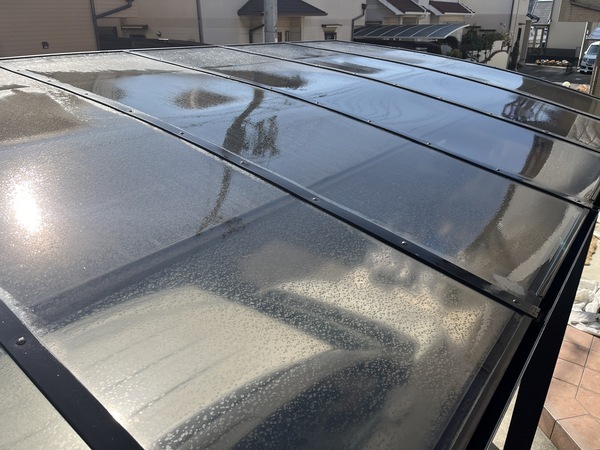 S__105717768_0_コピー