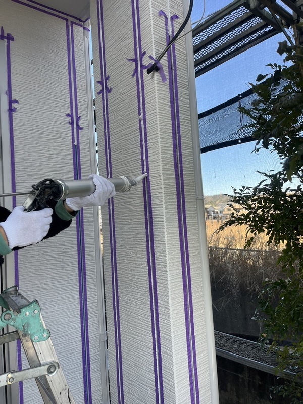 S__29048836_0_コピー