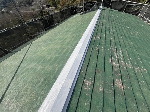 S__44859435_0_コピー