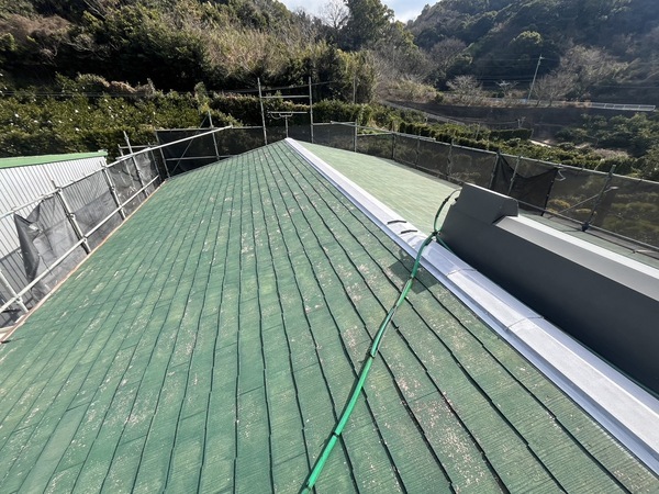 S__44859437_0_コピー