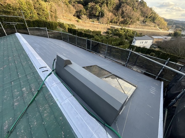 S__44859451_0_コピー