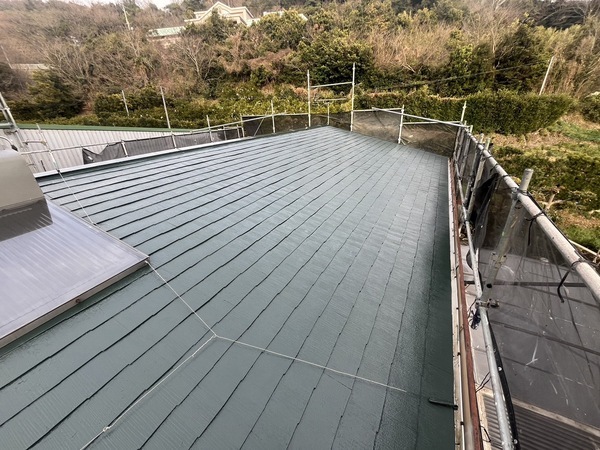 S__44884003_0_コピー