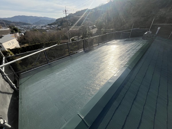 S__44916747_0_コピー