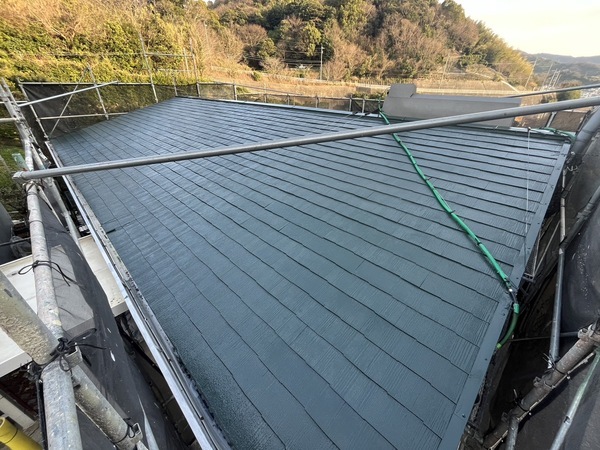 S__44916748_0_コピー