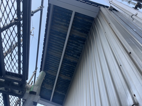 S__45056009_0_コピー