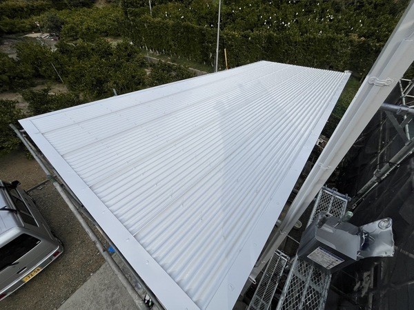 S__45088790_0_コピー