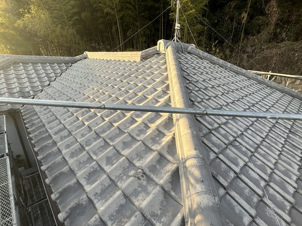 S__105635858_0_コピー